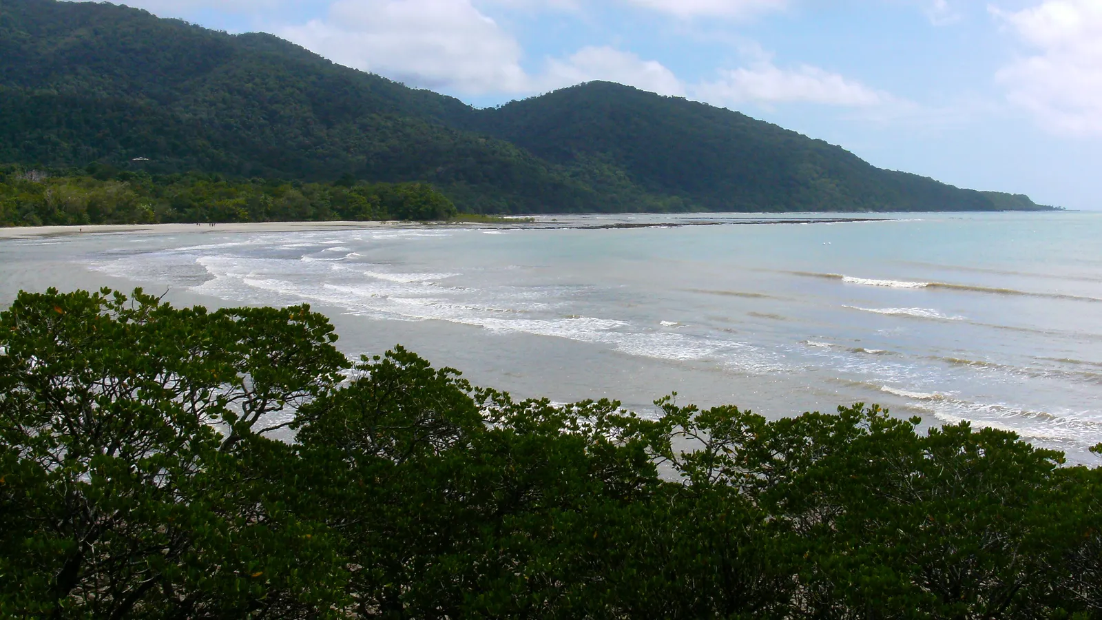 Rainforest road near Cape Tribulation