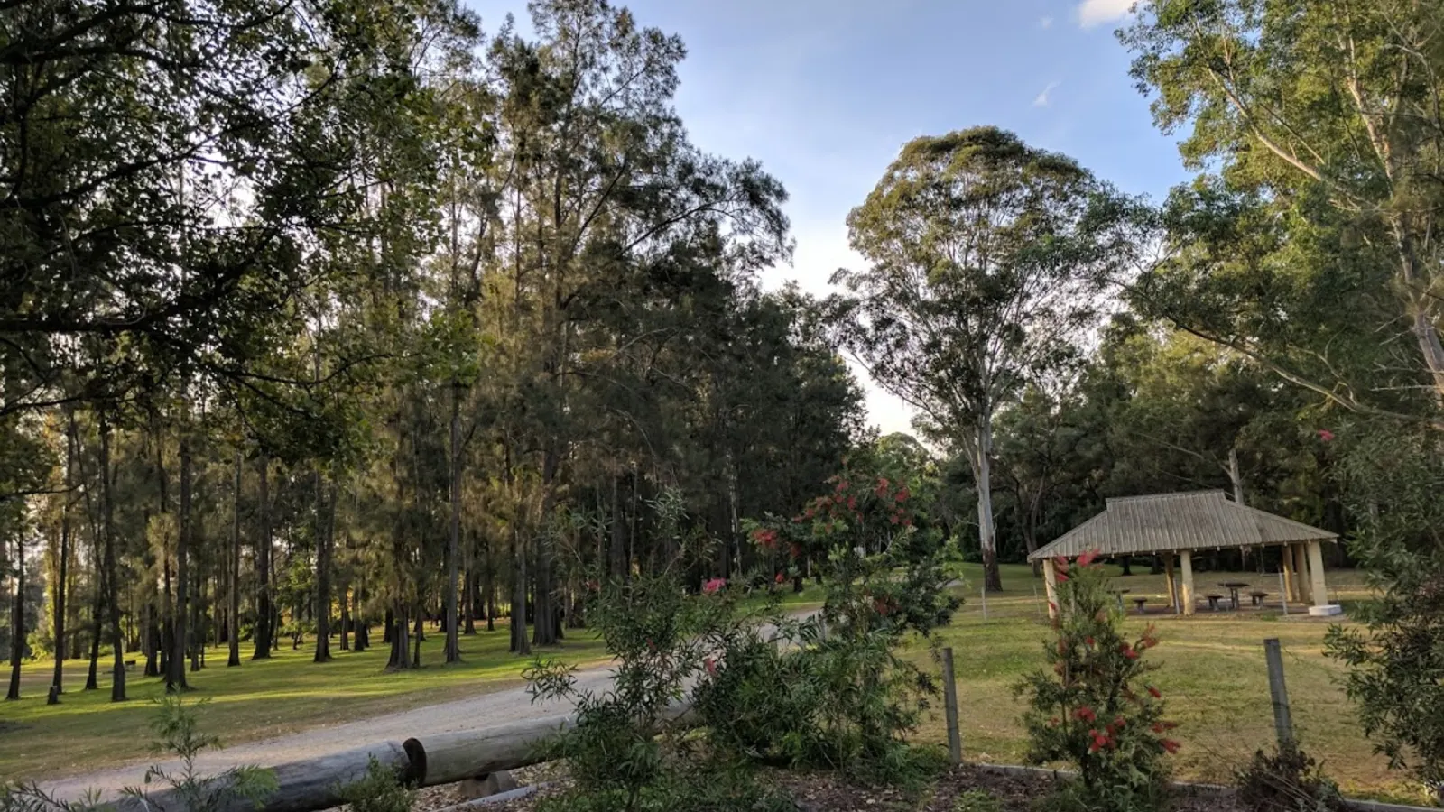National park campground in New South Wales