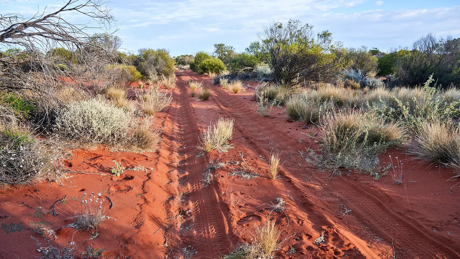 Remote campground beyond phone coverage