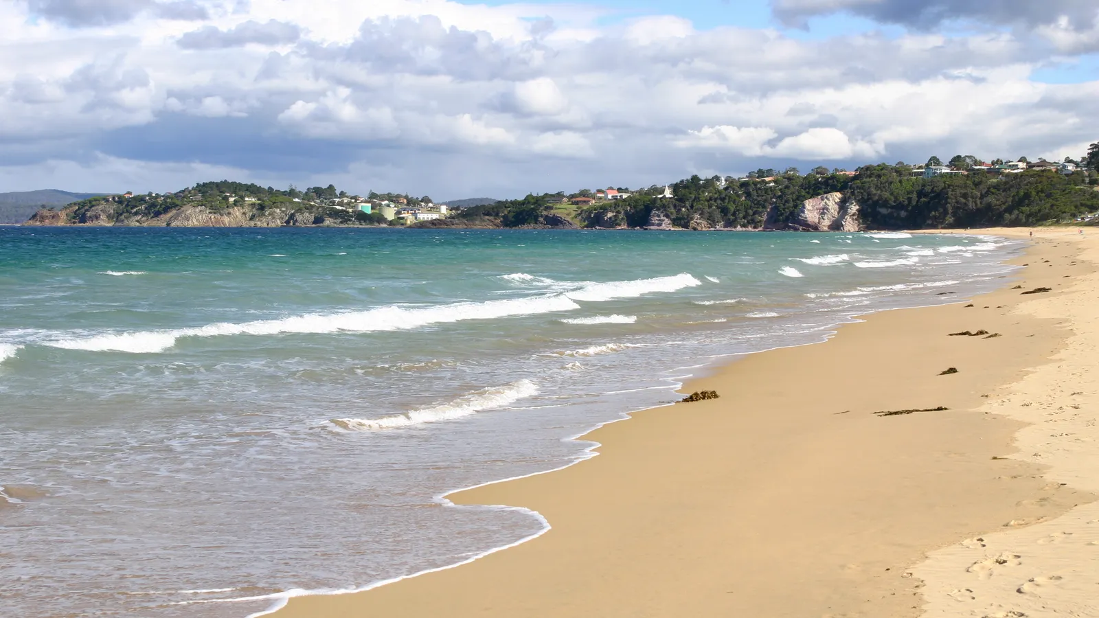 NSW South Coast beach and forest